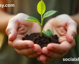 Grosseasy.com: Best way to planting the gardens