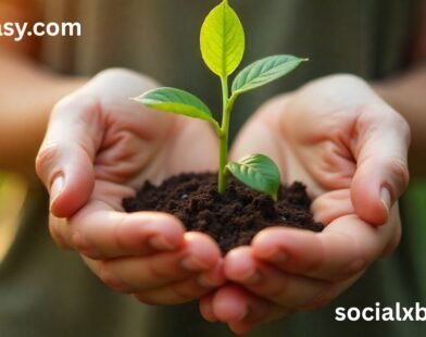 Grosseasy.com: Best way to planting the gardens