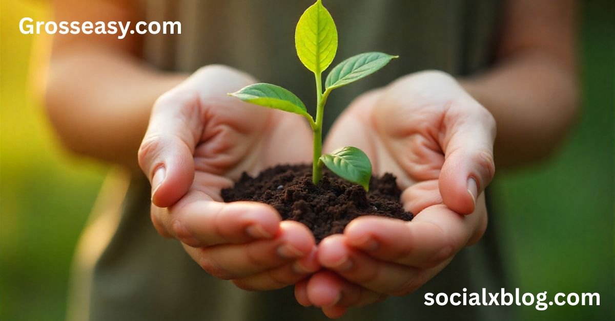 Grosseasy.com: Best way to planting the gardens